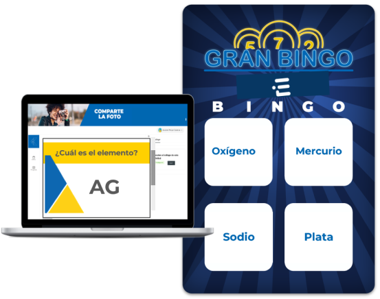 Tribingo